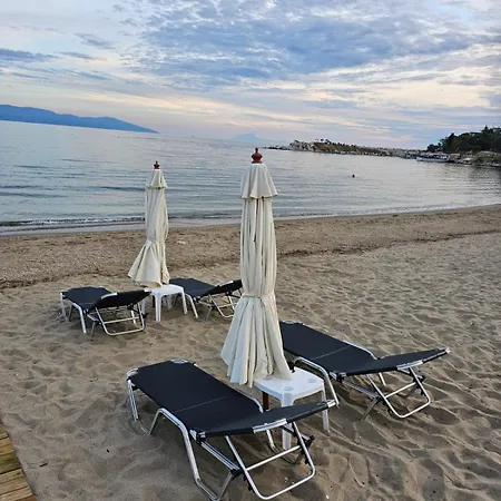 Apartament B Nea Karvali