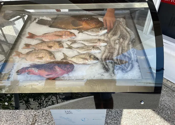 B ني كارفالي